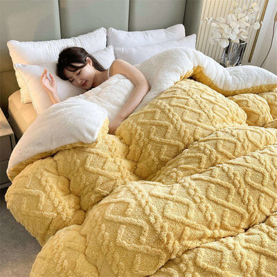 100% ポリエステル 厚い 暖かい タフェタ 冬毛布 羊毛 ベルヴェット と 印刷 パターン
