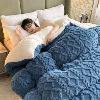 100% ポリエステル 厚い 暖かい タフェタ 冬毛布 羊毛 ベルヴェット と 印刷 パターン
