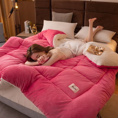 健康的な睡眠 優雅な快適さ 柔らかい快適さ 重量 シェルパバック